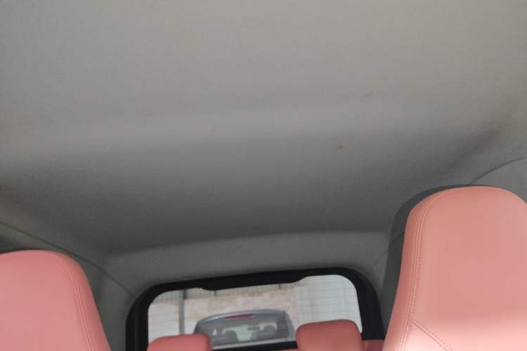 Used Chery Little Ant 2022 Sweet Pink Edition Half-Sugar Version Lithium Iron Phosphate 30 kW 301 km Headliner
