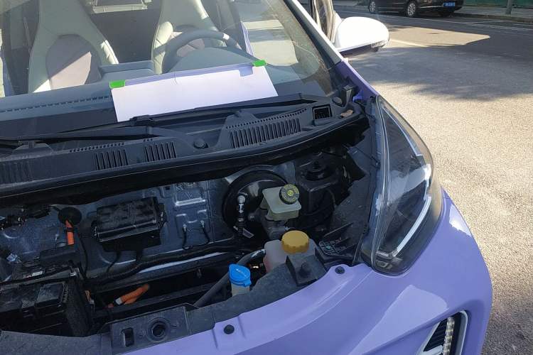 Used Chery Little Ant 2022 Revised Version 2 Sweet Pink Edition Full-Sugar Version Lithium Iron Phosphate 30.7 kWh 30 kW 301 km Engine Bay Left