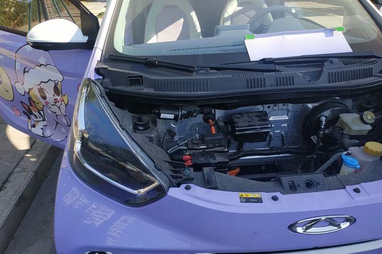 Used Chery Little Ant 2022 Revised Version 2 Sweet Pink Edition Full-Sugar Version Lithium Iron Phosphate 30.7 kWh 30 kW 301 km Engine Bay Right