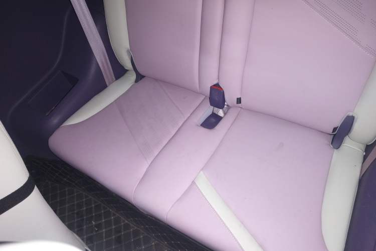 Used Chery Little Ant 2022 Sweet Pink Edition Half-Sugar Version Lithium Iron Phosphate 30 kW 301 km Left Rear Seat