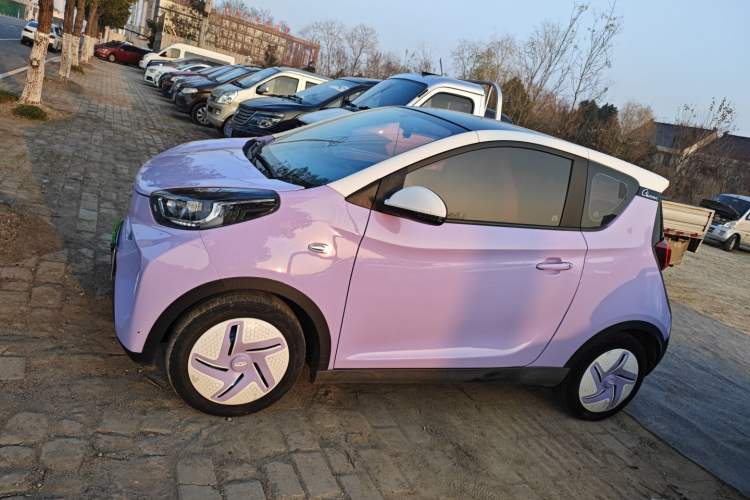 Used Chery Little Ant 2022 Me 301km Romance Phosphate Lithium-Iron Left Side