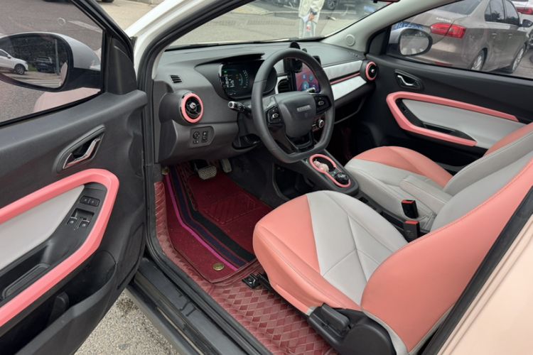 Used Chery Little Ant 2022 Sweet Pink Edition Half-Sugar Version Lithium Iron Phosphate 30 kW 301 km Interior 2
