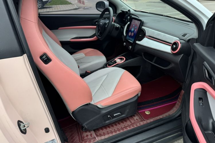 Used Chery Little Ant 2022 Sweet Pink Edition Half-Sugar Version Lithium Iron Phosphate 30 kW 301 km Interior 3