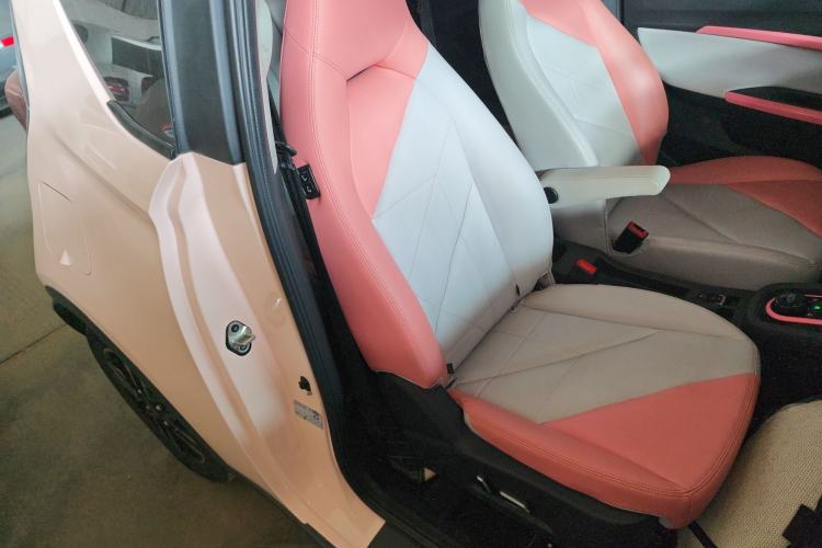 Used Chery Little Ant 2022 Sweet Pink Edition Half-Sugar Version Lithium Iron Phosphate 30 kW 301 km Right Front Seat