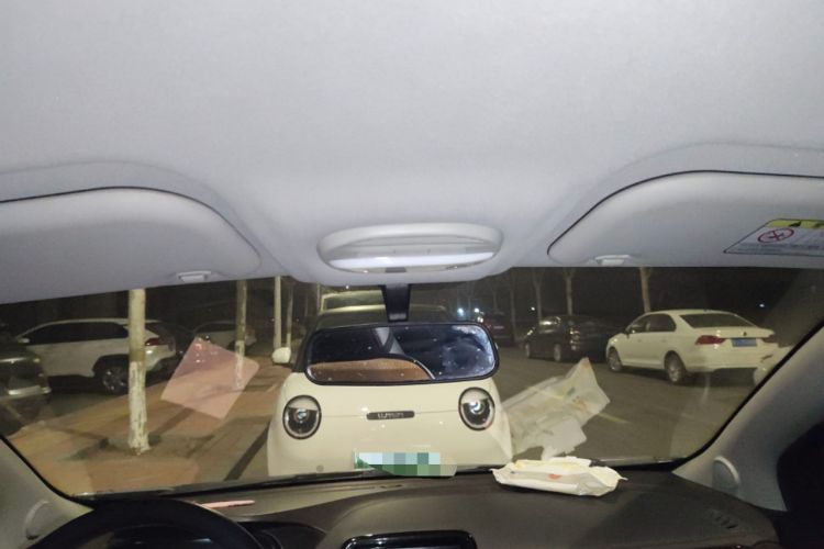 Used Chery Little Ant 2022 Sweet Pink Edition Half-Sugar Version Lithium Iron Phosphate 29.2 kWh 30 kW 301 km Headliner