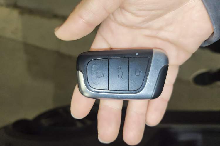 Used Chery Little Ant 2022 Sweet Pink Edition Half-Sugar Version Lithium Iron Phosphate 29.2 kWh 30 kW 301 km Vehicle Key