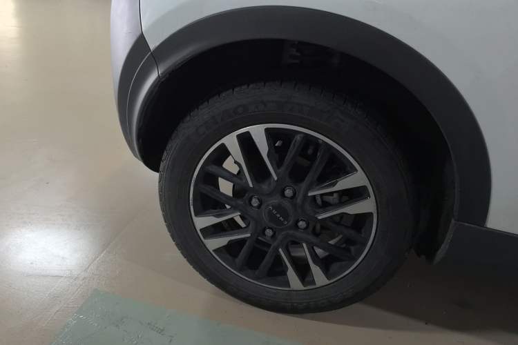 Used Chery Little Ant 2022 Sweet Pink Edition Full-Sugar Version Lithium Iron Phosphate 30 kW 301 km Exterior 8