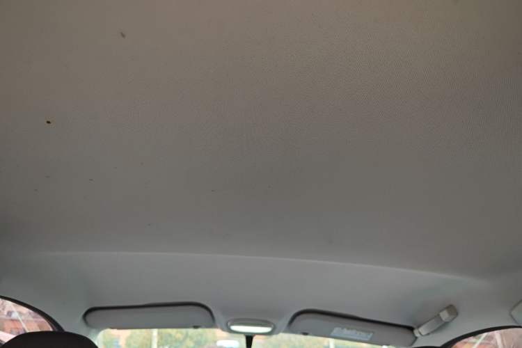 Used Chery Little Ant 2022 Restyled Version Sweet Pink Edition Half-Sugar Version 30.6 kWh 30 kW 301 km Headliner