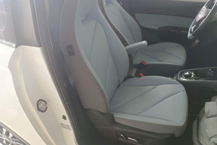 Used Chery Little Ant 2022 Restyled Version Sweet Pink Edition Half-Sugar Version 28.8 kWh 30 kW 301 km Right Front Seat