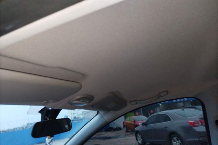 Used Chery Little Ant 2023 251km True Love Edition Lithium Iron Phosphate Headliner
