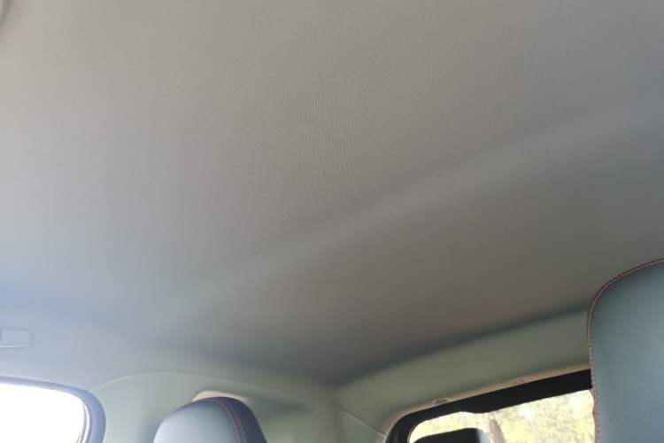 Used Chery Little Ant 2023 301km True Love Plus Version Lithium Iron Phosphate Headliner