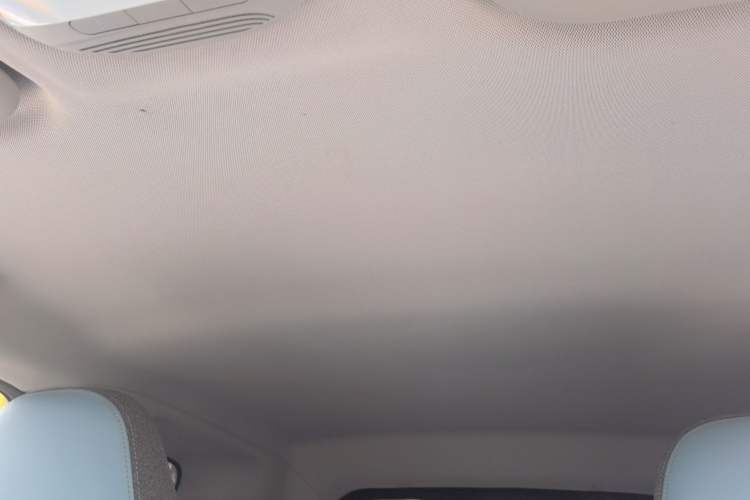 Used Chery Little Ant 2023 251km True Love Edition Lithium Iron Phosphate Headliner