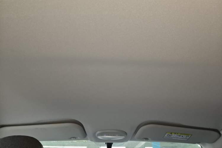 Used Chery Little Ant 2023 301km True Love Plus Version Lithium Iron Phosphate Headliner