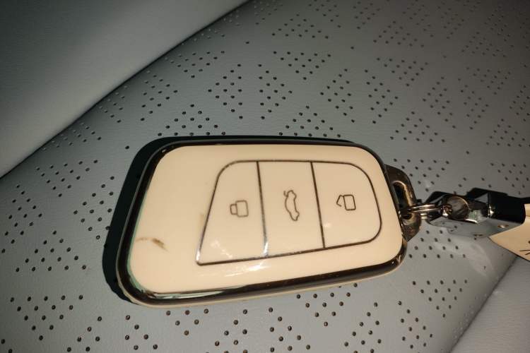 Used Chery Little Ant 2023 251km True Love Edition Lithium Iron Phosphate Interior 1
