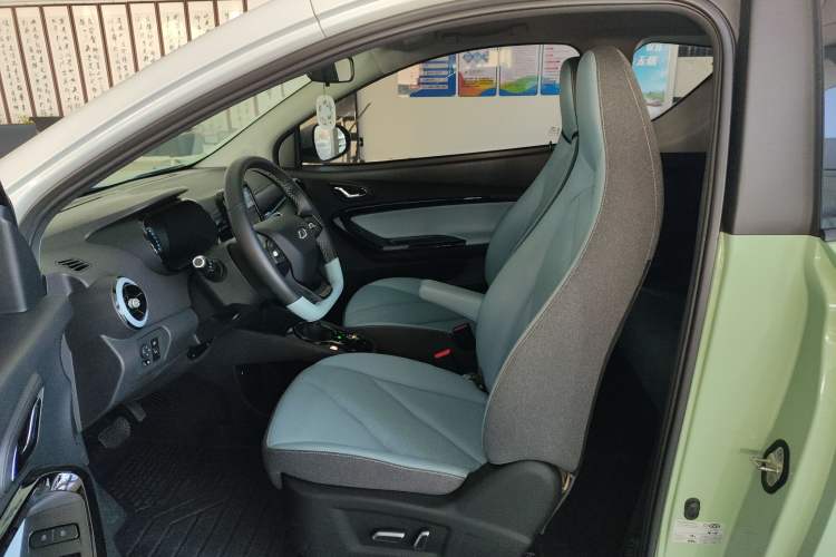 Used Chery Little Ant 2023 251km True Love Edition Lithium Iron Phosphate Left Front Seat