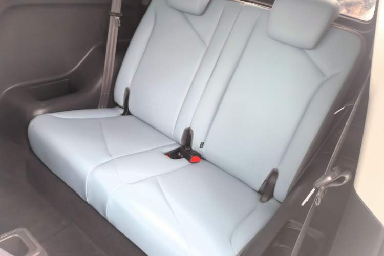 Used Chery Little Ant 2023 251km True Love Edition Lithium Iron Phosphate Left Front Seat
