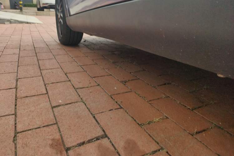 Used Chery Little Ant 2023 251km True Love Edition Lithium Iron Phosphate Left Side Sill