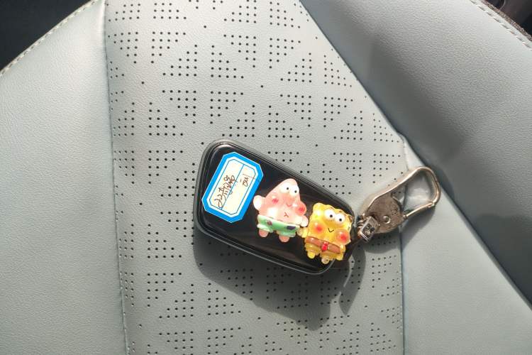 Used Chery Little Ant 2023 251km True Love Edition Lithium Iron Phosphate Vehicle Key