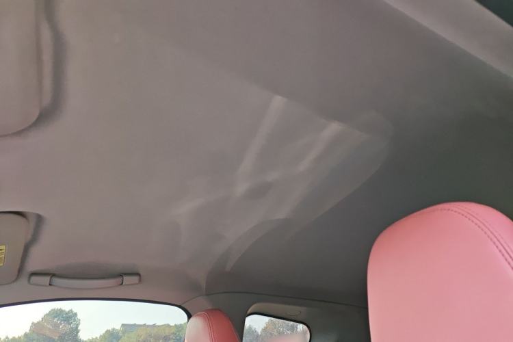 Used Chery Little Ant 2023 301km True Love Plus Version Lithium Iron Phosphate Headliner