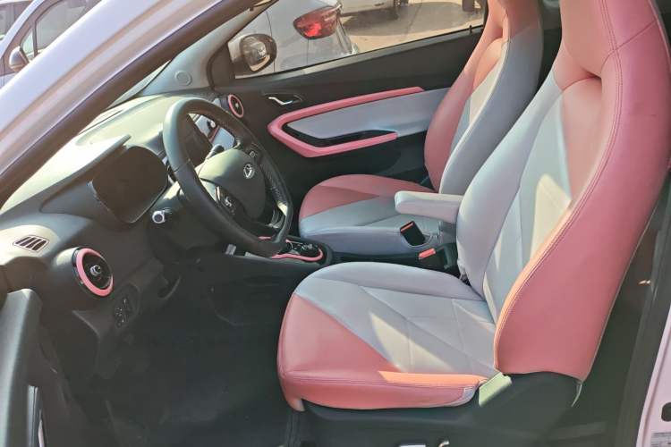 Used Chery Little Ant 2023 301km True Love Plus Version Lithium Iron Phosphate Left Front Seat