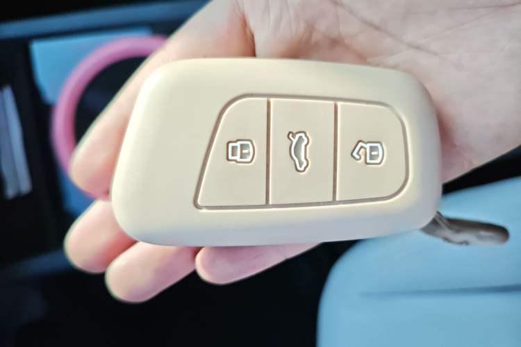 Used Chery Little Ant 2023 301km True Love Plus Version Lithium Iron Phosphate Vehicle Key