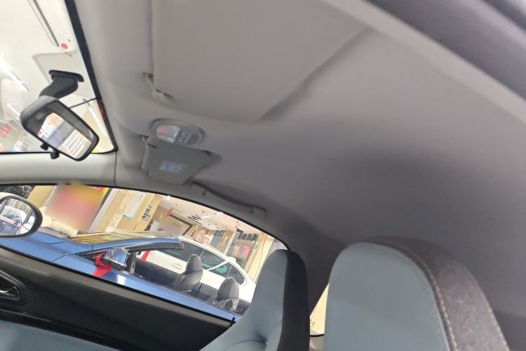 Used Chery Little Ant 2023 251km True Love Edition Lithium Iron Phosphate Headliner