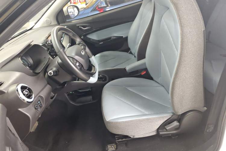 Used Chery Little Ant 2023 251km True Love Edition Lithium Iron Phosphate Left Front Seat