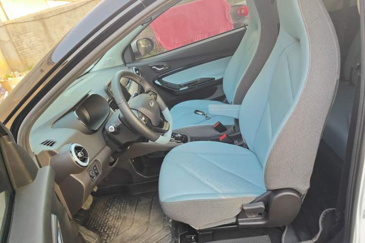 Used Chery Little Ant 2023 251km True Love Edition Lithium Iron Phosphate Left Front Seat