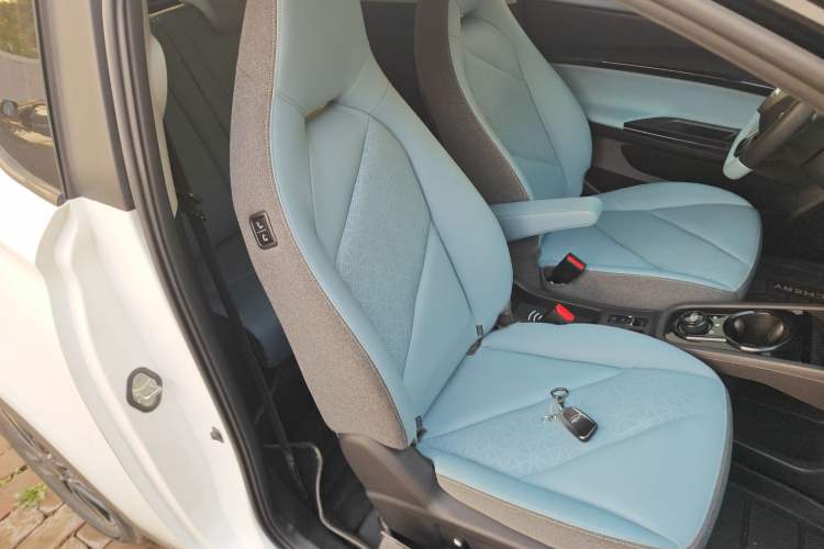 Used Chery Little Ant 2023 251km True Love Edition Lithium Iron Phosphate Right Front Seat