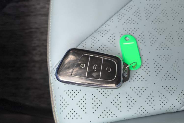 Used Chery Little Ant 2023 251km True Love Edition Lithium Iron Phosphate Vehicle Key