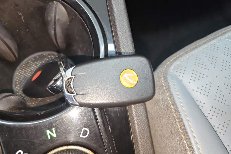 Used Chery Little Ant 2023 251km True Love Edition Lithium Iron Phosphate Vehicle Key