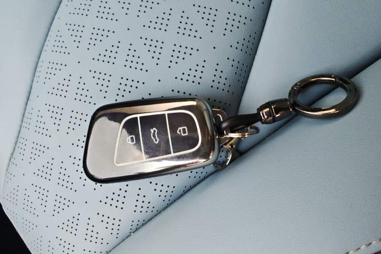 Used Chery Little Ant 2023 251km True Love Edition Lithium Iron Phosphate Vehicle Key