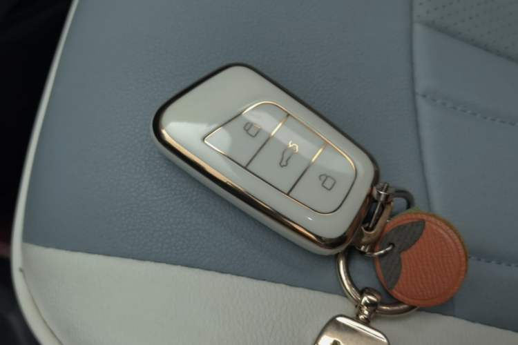 Used Chery Little Ant 2024 251km True Love Edition Interior 1