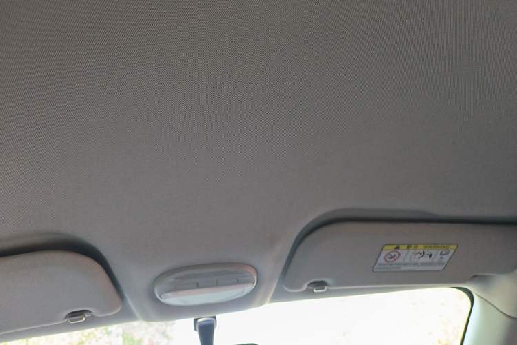 Used Chery Little Ant 2024 251km True Love Edition Headliner