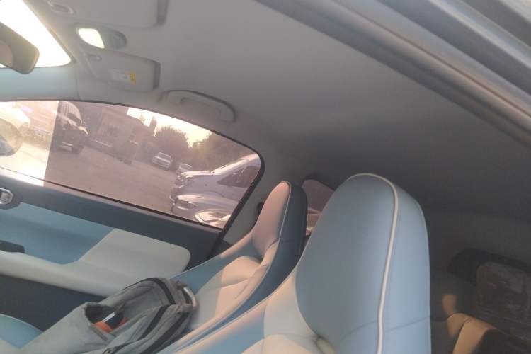 Used Chery Little Ant 2024 321km Love Edition Headliner