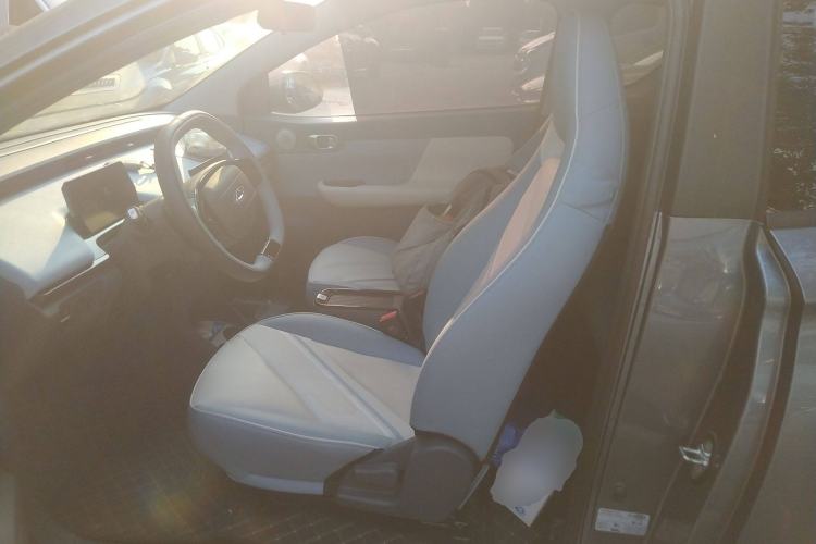 Used Chery Little Ant 2024 321km Love Edition Left Front Seat