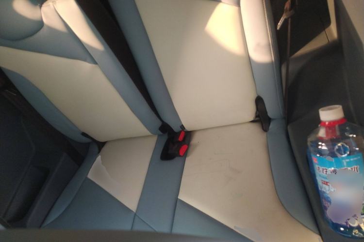 Used Chery Little Ant 2024 321km Love Edition Left Rear Seat