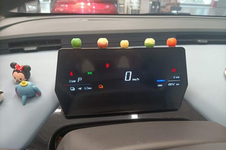 Used Chery Little Ant 2024 321km - Only Love Edition Odometer Close Up