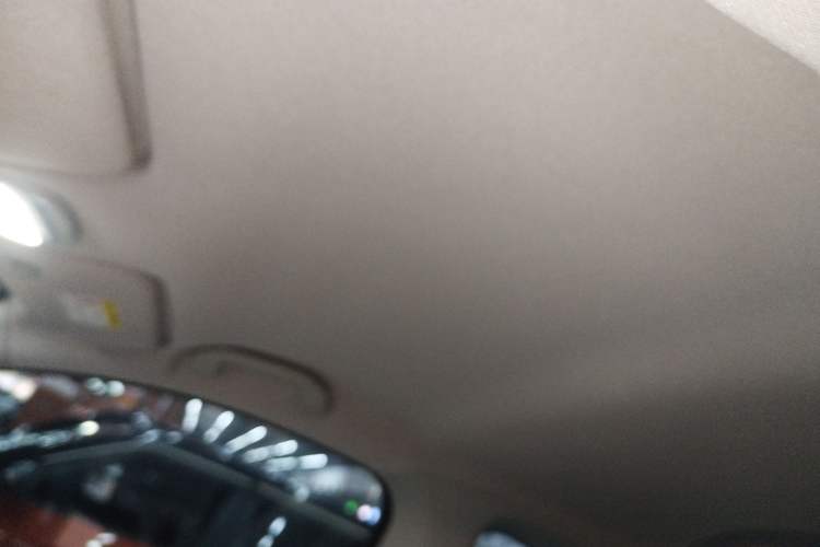 Used Chery Little Ant 2024 321km Love Edition Headliner