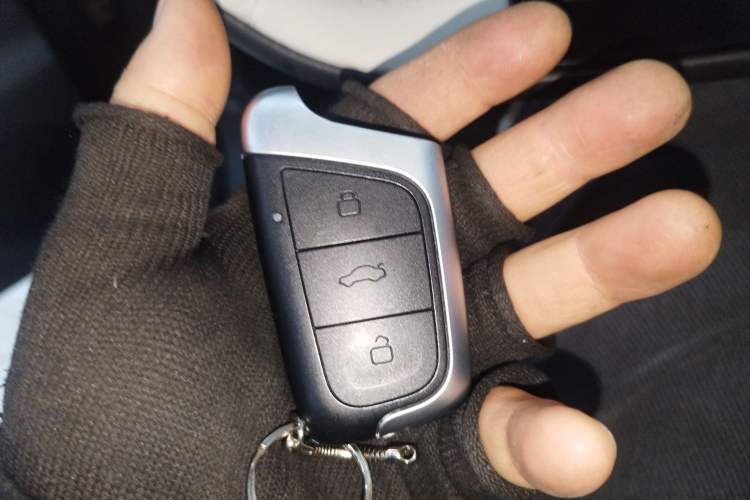 Used Chery Little Ant 2024 321km Love Edition Vehicle Key