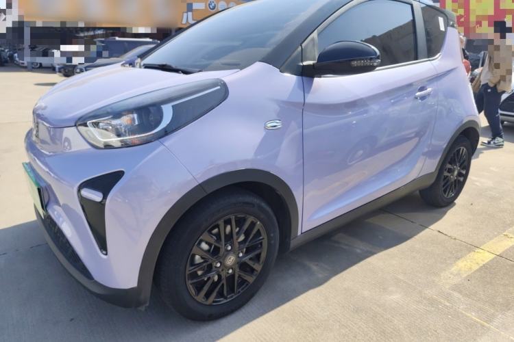 Used Chery Little Ant 2024 Facelifted 321km Beloved Edition Left Side