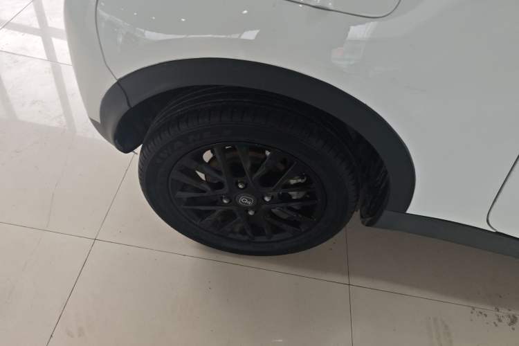 Used Chery Little Ant 2024 321km Love Edition Exterior 5