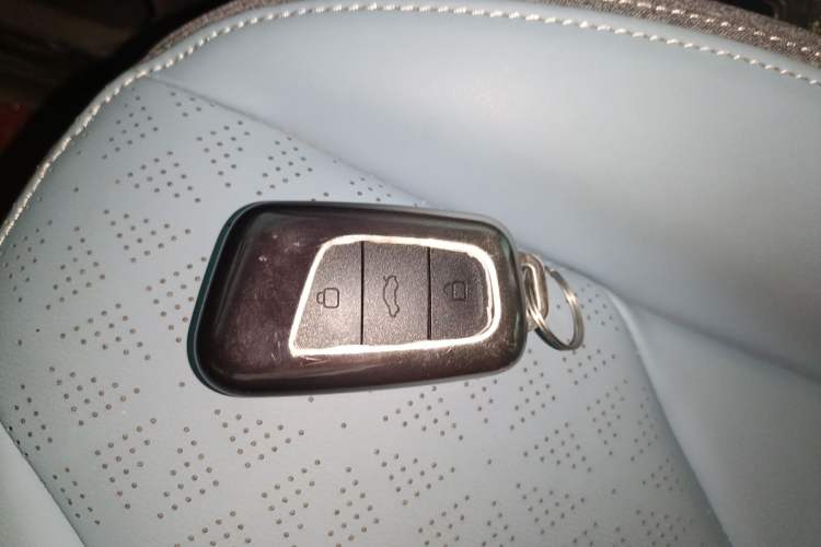 Used Chery Little Ant 2024 Revised Version Youth Edition 251 km True Love Edition 25.05 kWh Interior 1