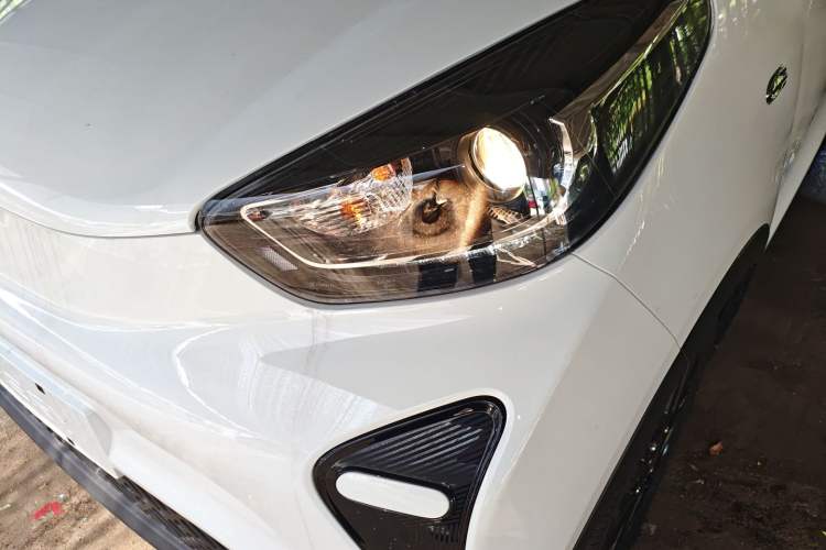 Used Chery Little Ant 2024 Refreshed Version Youth Edition 321 km Beloved Edition 29.23 kWh Left Front Headlight