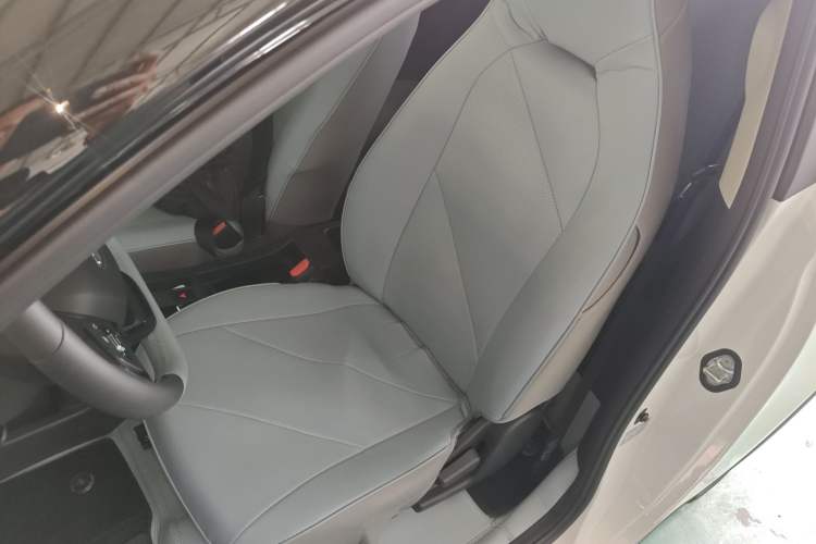 Used Chery Little Ant 2024 Revised Version Youth Edition 251 km True Love Edition 25.05 kWh Left Front Seat