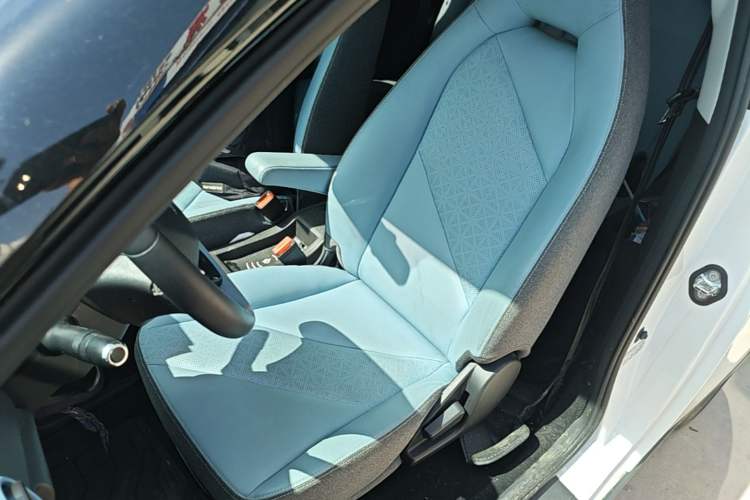 Used Chery Little Ant 2024 251km True Love Edition Left Front Seat