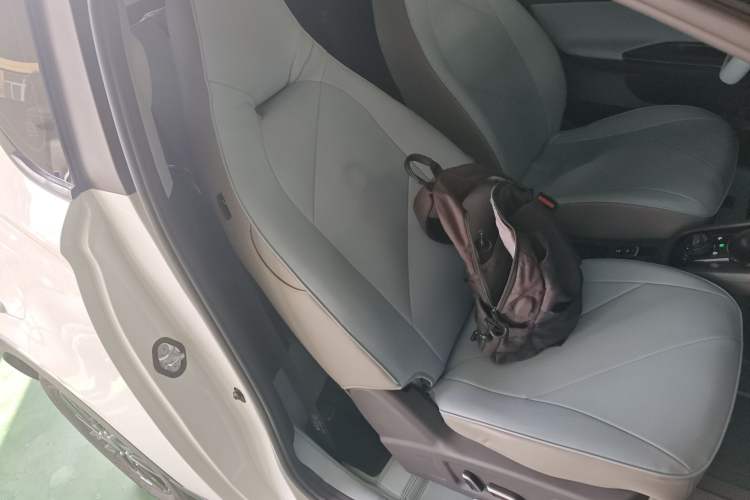 Used Chery Little Ant 2024 Revised Version Youth Edition 251 km True Love Edition 25.05 kWh Right Front Seat