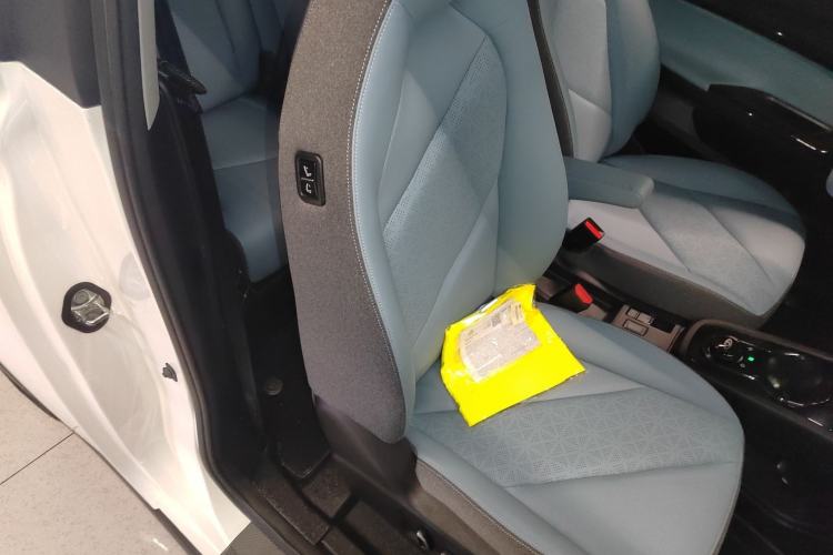 Used Chery Little Ant 2024 251km True Love Edition Right Front Seat