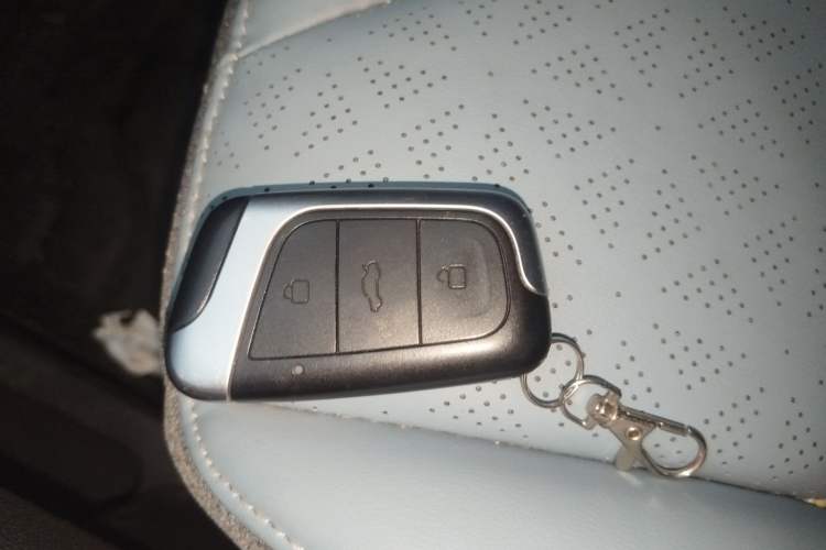 Used Chery Little Ant 2024 Revised Version Youth Edition 251 km True Love Edition 25.05 kWh Vehicle Key