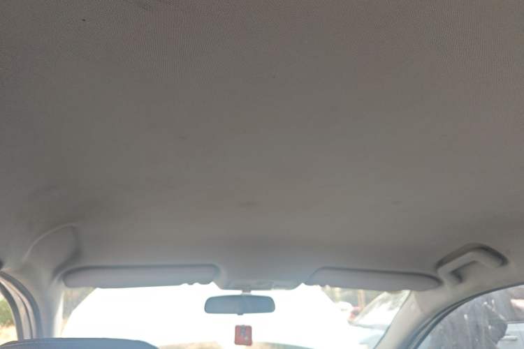 Used Chery New Energy Arrizo 5e 2017 Smart Edition Headliner